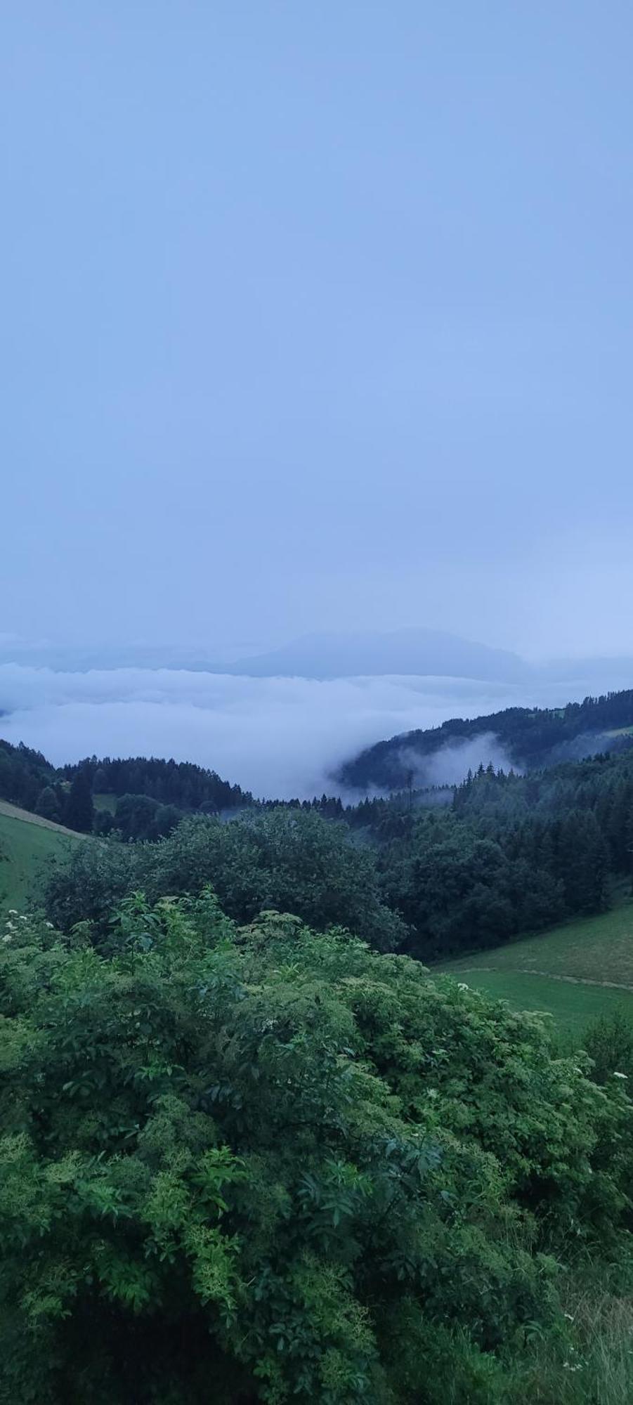 Gasthof Machwirth Griffen Εξωτερικό φωτογραφία