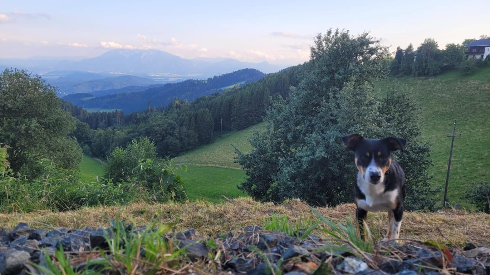 Gasthof Machwirth Griffen Εξωτερικό φωτογραφία